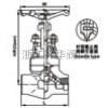 內(nèi)螺紋與承插焊截止閥